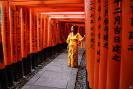 Japan_Sakura_2025 (6/79)